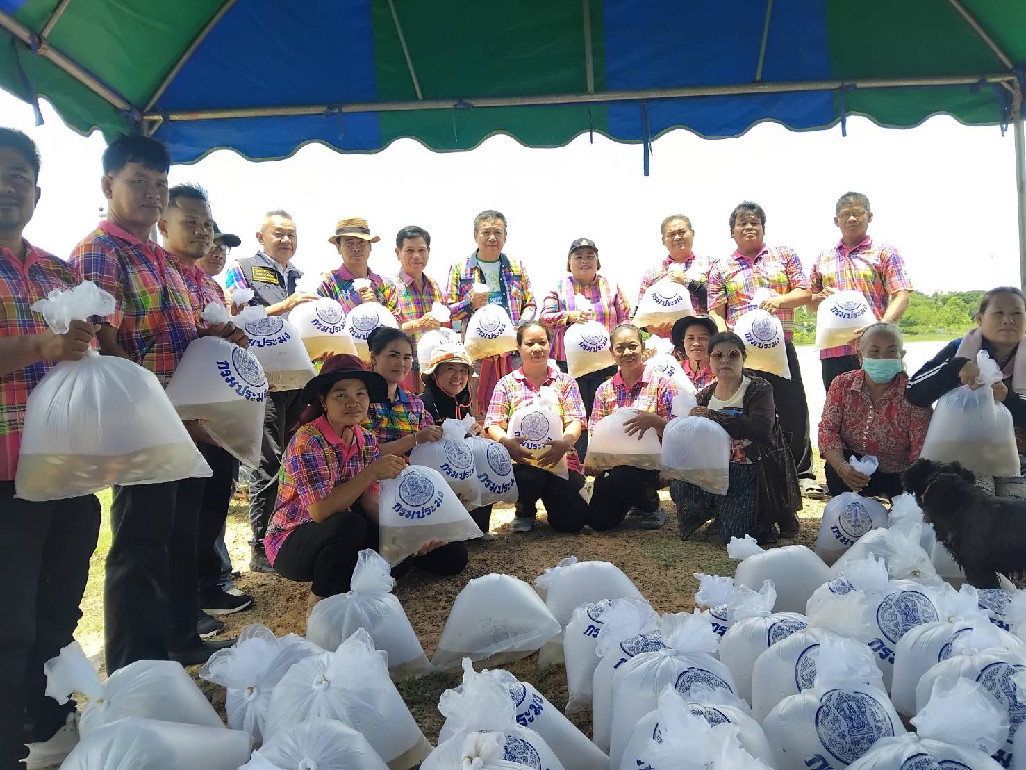 พช.บรบือ >> ร่วมโครงการปล่อยพันธุ์ปลา "สระน้ำบ้านหนองคูขาด เพื่อฟื่นฟูธรรมชาติ"