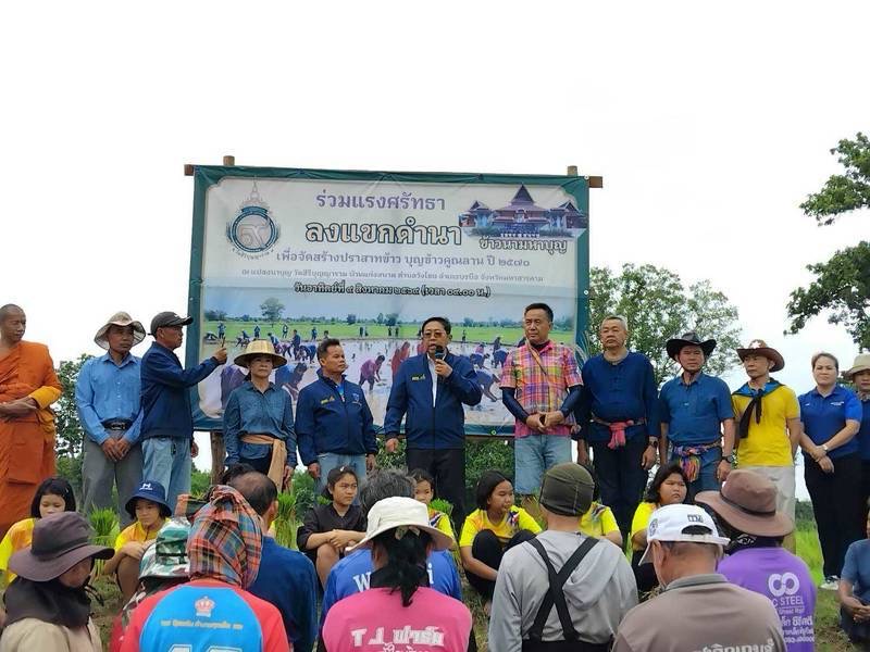 พช.บรบือ>>>จัดกิจกรรมประเพณีลงแขกดำนา สืบสานประเพณีพื้นบ้าน เพื่อจัดทำปราสาทข้าวบุญคูณลาน ปี 2569